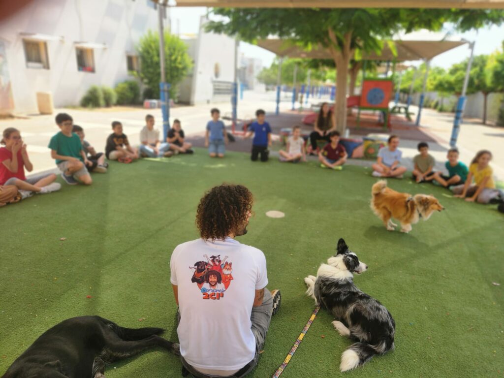 פעילות עם כלבים בקייטנה
